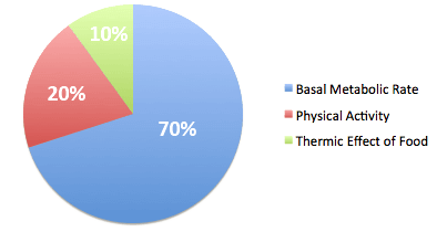 TDEE Pie Chart